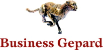 Gepard Biznesu